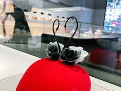 -BLACKSWAN黑天鹅(环球店)