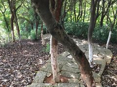 -五龙客家风情园