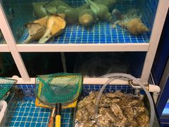 水产区-金龙·打边炉(南京西路店)