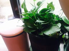 -熊猫一间店欧式奶茶铺