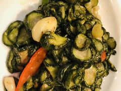 -食家鸽园