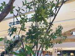 -新发现(苏州中心商场店)