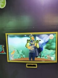 -恐龙探索乐园(磁器口店)