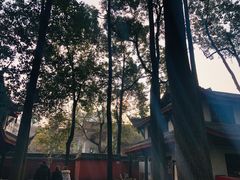 -香园自助小火锅