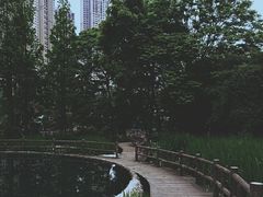 -成都市活水公园