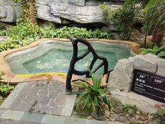 -海口观澜湖火山温泉谷