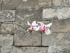 -东华门大街小区