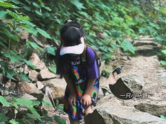 -素山寺森林公园