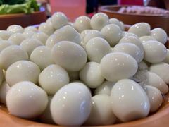 -龍歌自助小火锅(市北和达中心城店)