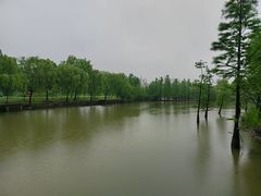 -上海长兴岛郊野公园