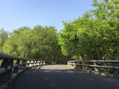 -西湖风景区-江洋畈生态公园