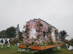 -荷兰花海