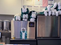 -雾与山茶(大禹城店)