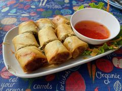 炸春卷-Kat's Kitchen