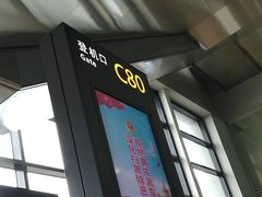 -上海浦东国际机场-T2航站楼