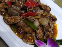 -金穗园·砂锅粥.醉鸡煲火锅(长寿路店)