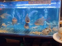 -衢农会·衢州菜·宴请(国际机场店)