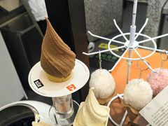 -野人先生Gelato(上海长宁龙之梦店)