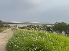 -永定河休闲森林公园
