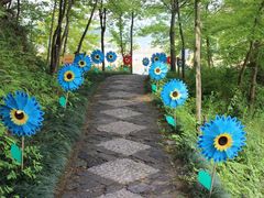 -千岛湖龙川湾