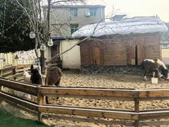 -HERRE·FARM 赫尔露营农场·团建聚会包场