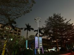 -大鹏佳兆业广场