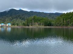 -海南热带雨林国家公园吊罗山景区