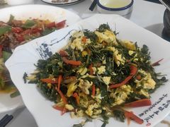 -煲来饱去冷水鱼