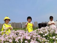 -瑞恩宝感统训练·语言提升·蒙氏托育中心