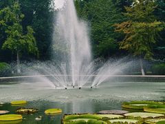 -石家庄市植物园