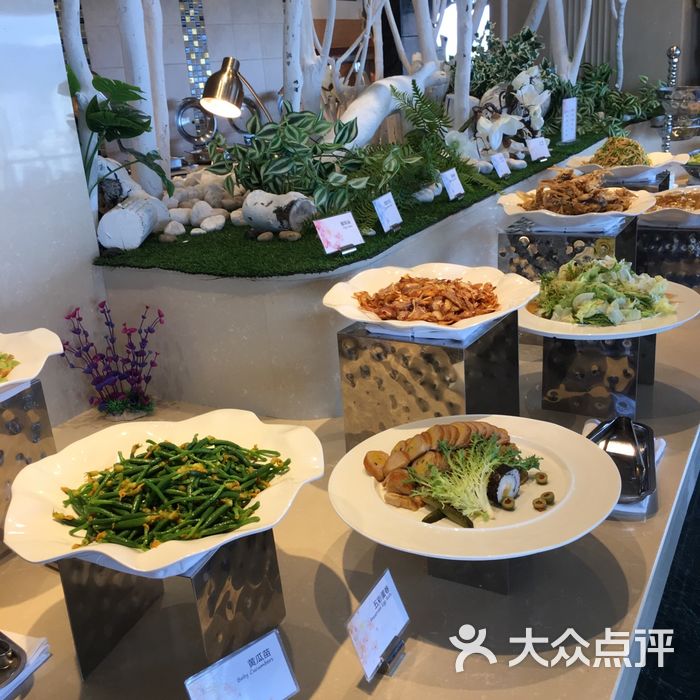 温州国际大酒店图片-北京自助餐-大众点评网