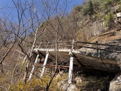 -王顺山国家森林公园