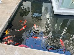 -大连植物园