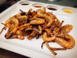 -上海绿地万豪酒店·大宴会厅