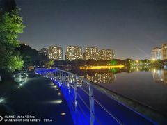 -南翔镇银翔湖公园