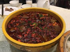 -陈麻婆豆腐总店
