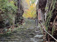 -天女山森林公园