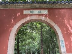 -灵谷景区