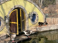 -南宫五洲植物乐园