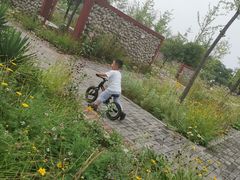 -洨河生态公园
