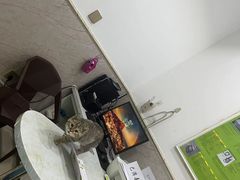 -福懋动物医院·犬猫全科·外科·重症科(杏林分院)