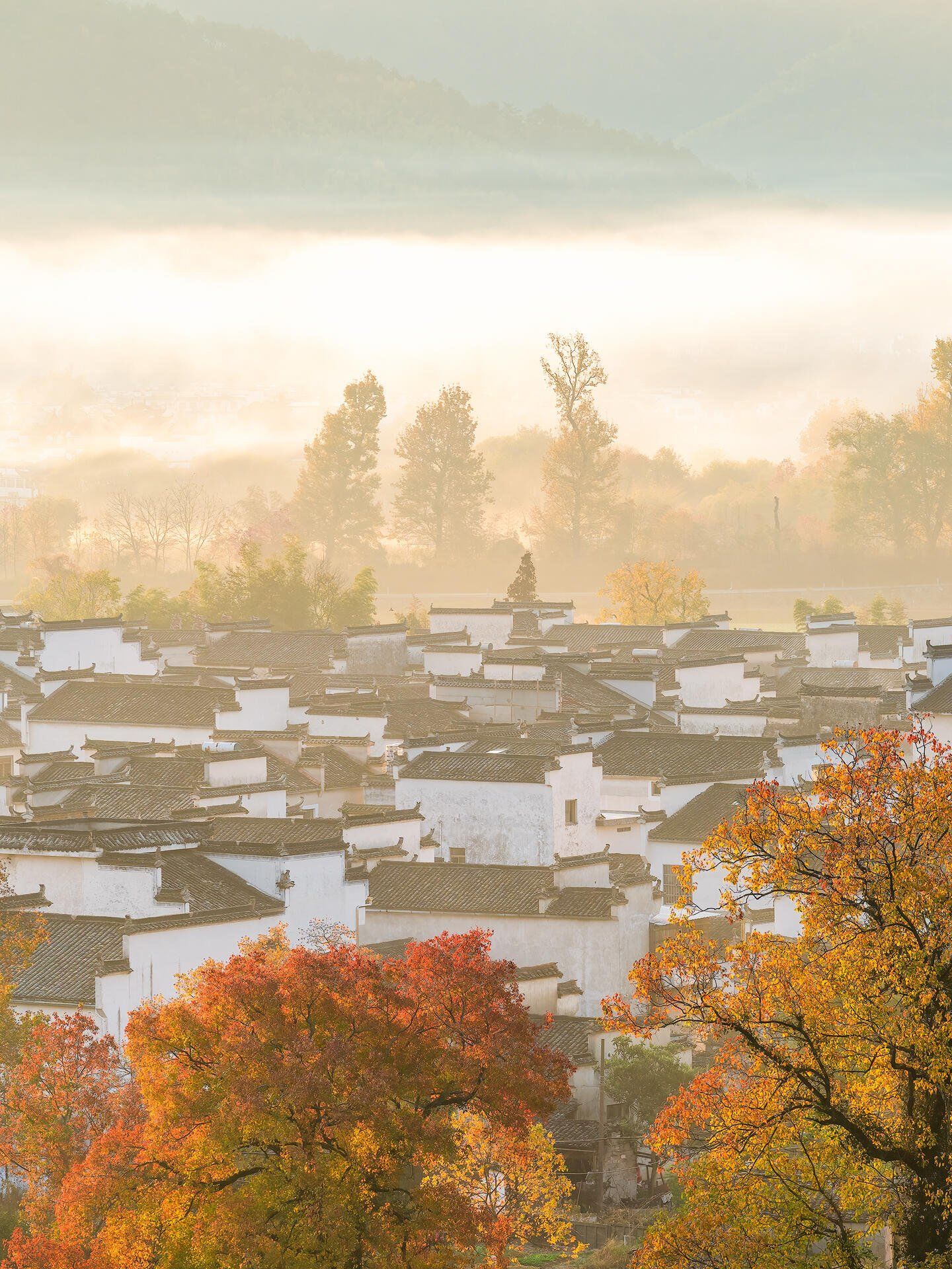 你可以永远相信,皖南的秋天~ 那真的是美如画啊!