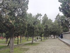 -关林
