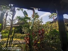 -广州从化都喜泰丽度假酒店温泉