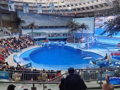 -海合安成都极地海洋公园