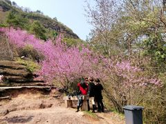 -天台山赤城山景区