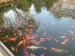 -苏堤停车场
