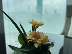 -君悦酒店·大堂酒吧·高空下午茶·暮色微醺