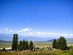 -新疆那拉提国家旅游度假区