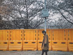 -武汉大学-樱园